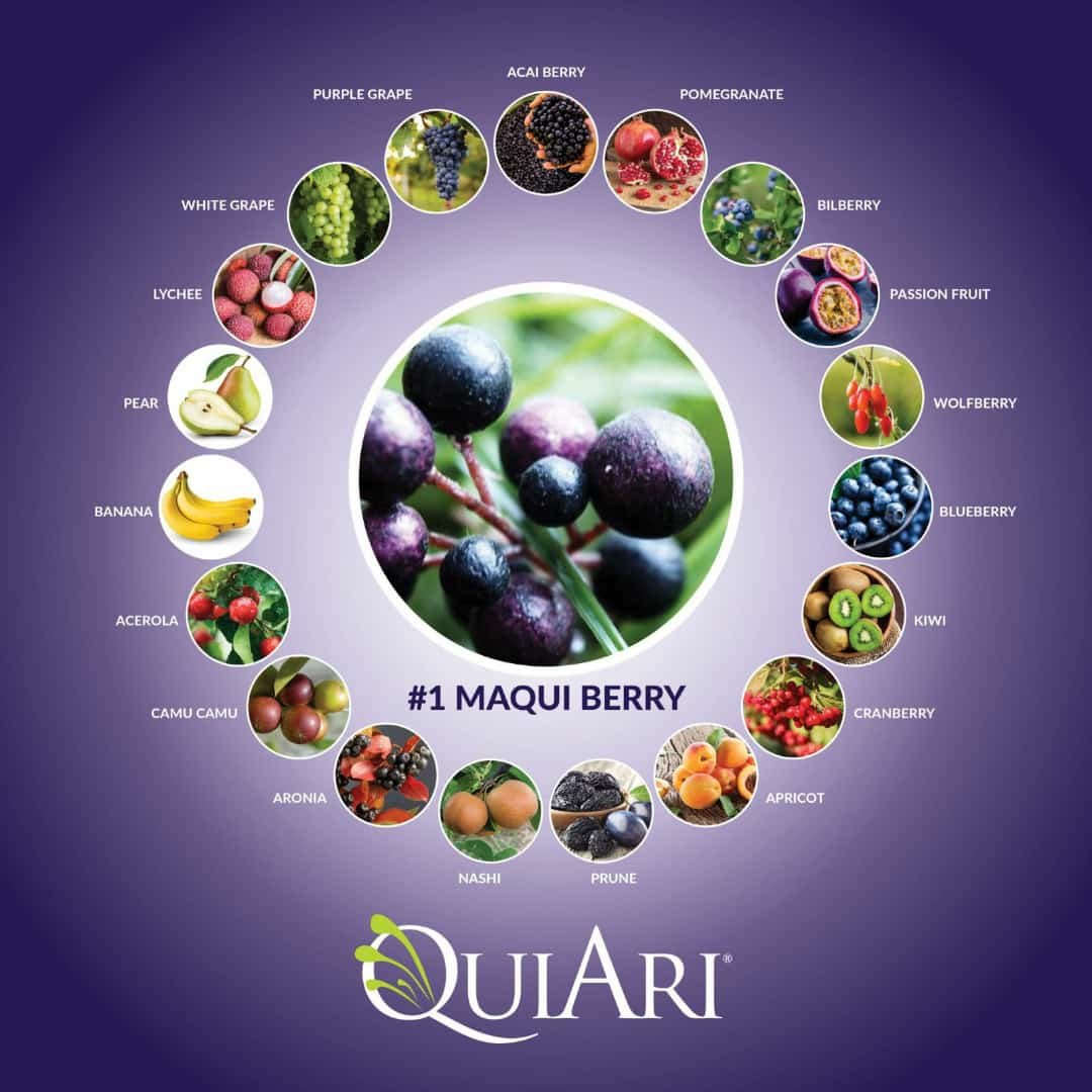 Hình ảnh này chưa có thuộc tính alt; tên tệp của nó là 4.QuiAri-thanh-phan1.jpg