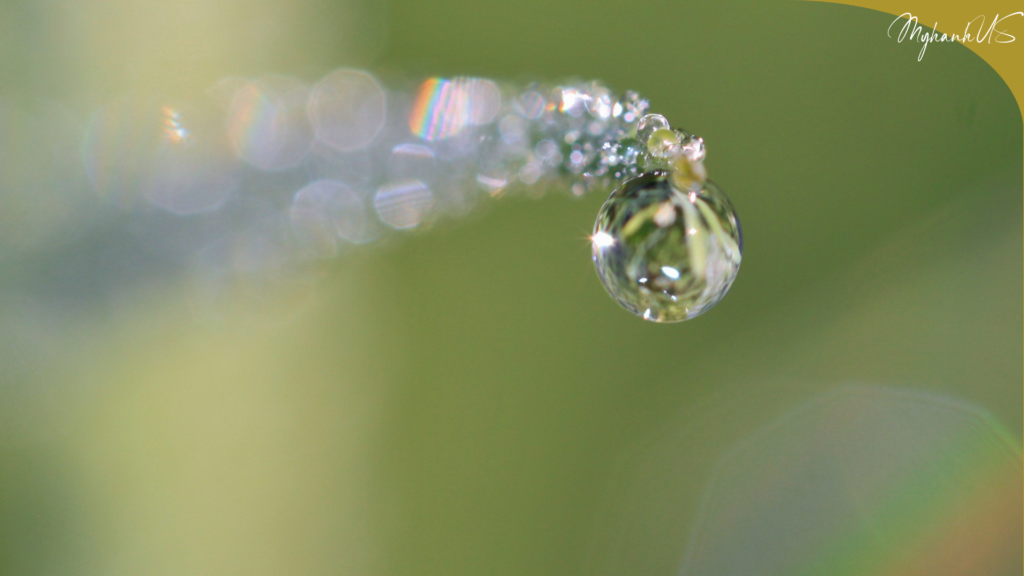 Yêu thương bản thân thuần khiết như sương mai