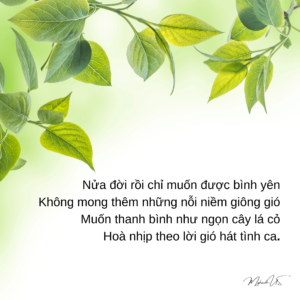 Chạm Đến Bình Yên - Cảm Xúc từ thơ