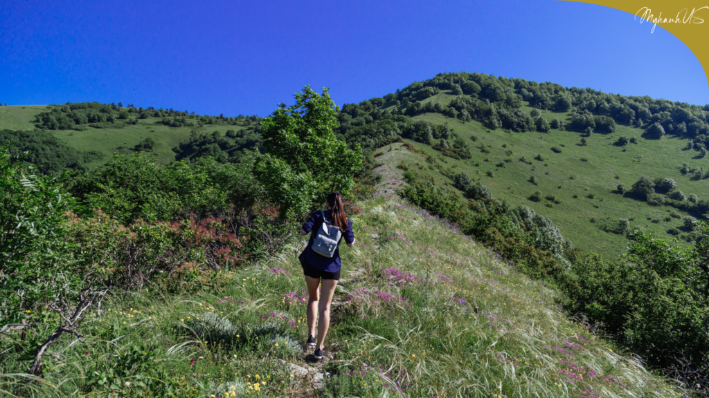 Đi bộ, liệu pháp chữa lành từ thiên nhiên