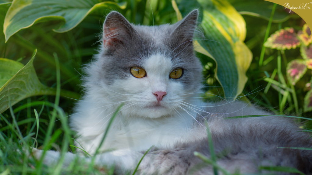 Vẻ đẹp của sự cô đơn